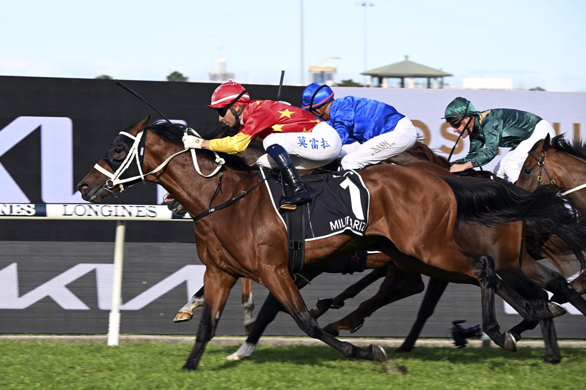 Militarize aiming for fourth Group One win