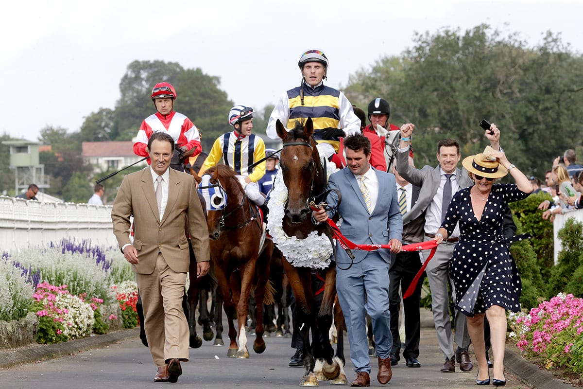 Turf and Data Advantage Continues to Prove NZB’s Ready to Run Success