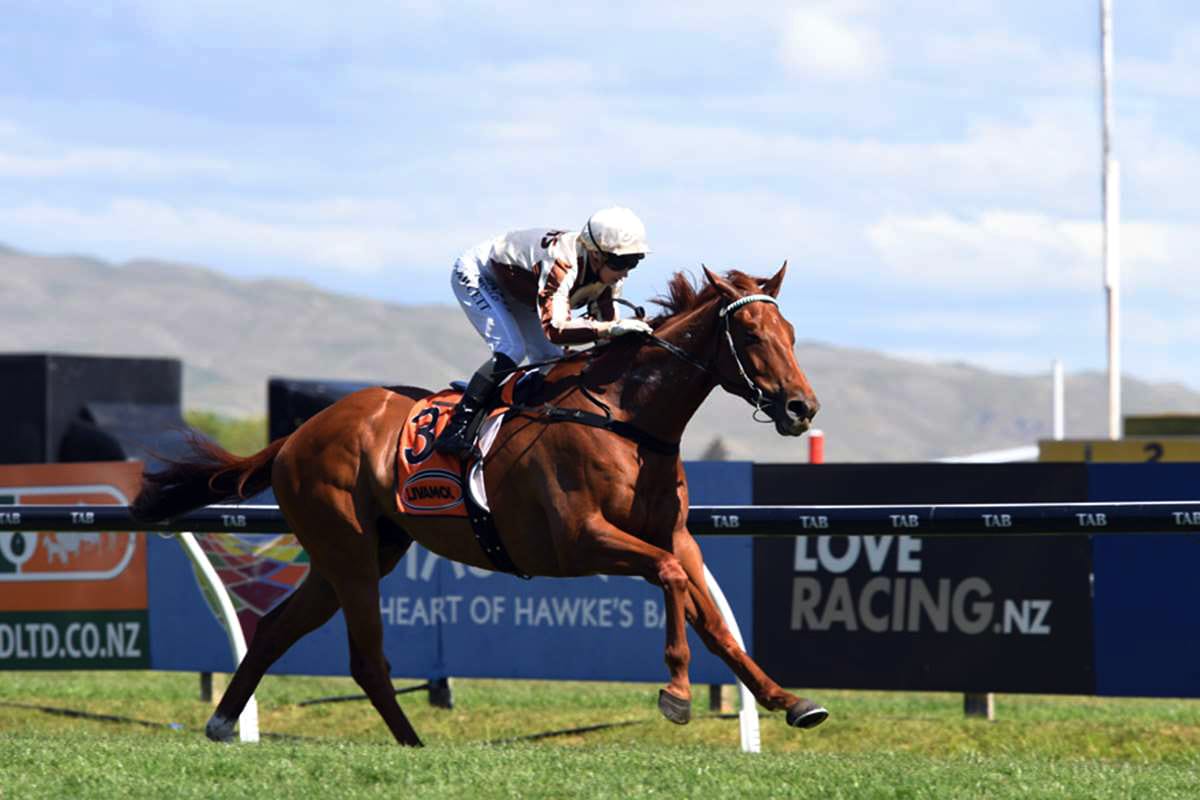 Adam continues his million-dollar journey at Hastings