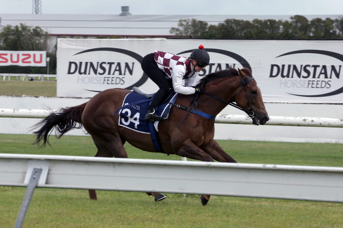 Foote eyeing Group One targets with Babylon Berlin