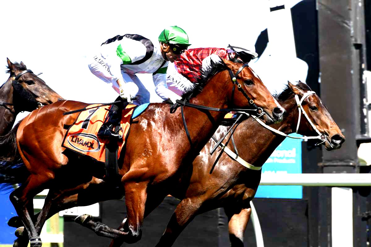 Cannon Hill comes out on top in Hastings opener