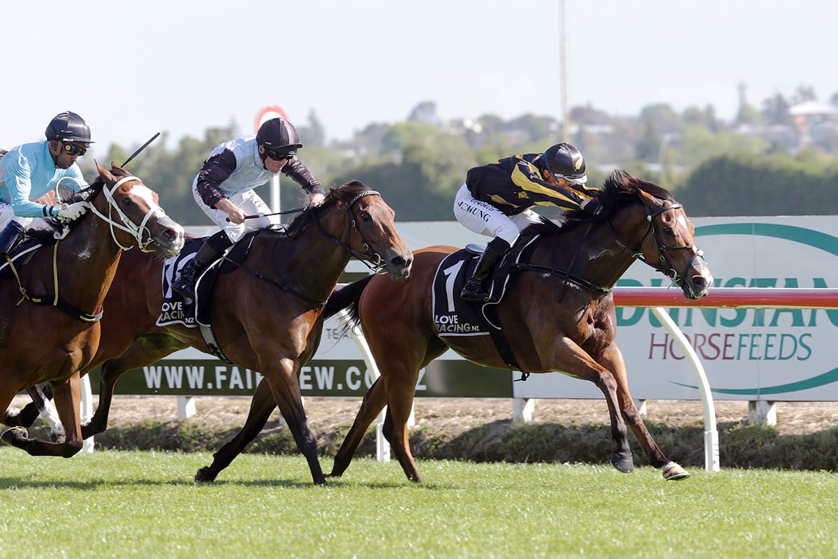 Johny Johny delivers in Sweynesse Stakes