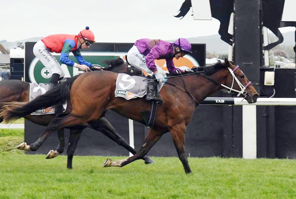 Dress rehearsal for Lantern Way at Riccarton