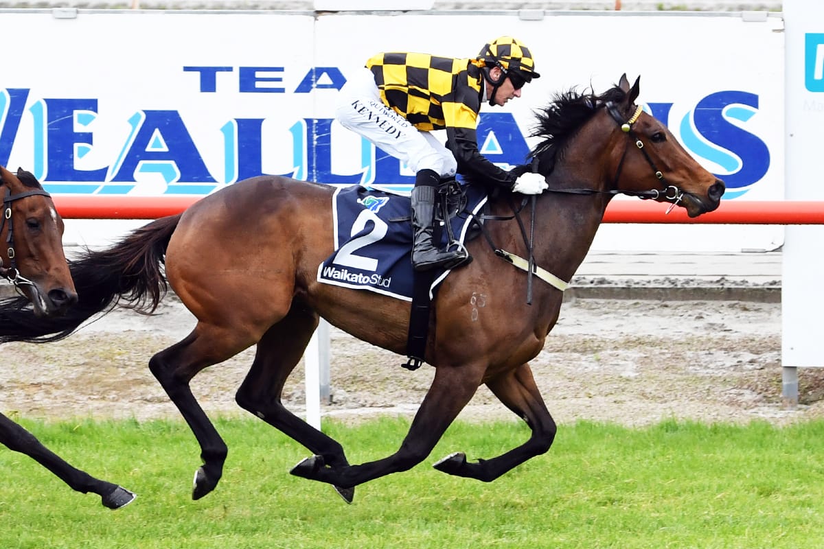 Luberon dominant at Matamata