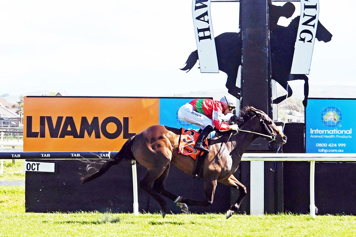 Our Alley Cat gets deserved Stakes win