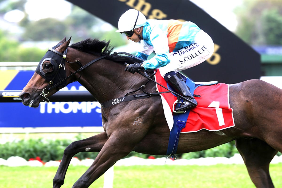 Rotorua homecoming for Riodini