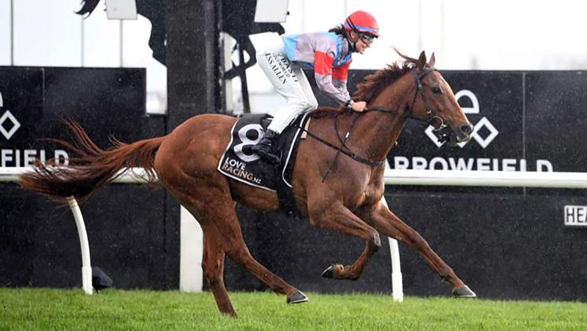 Semper Magico relishes wet conditions