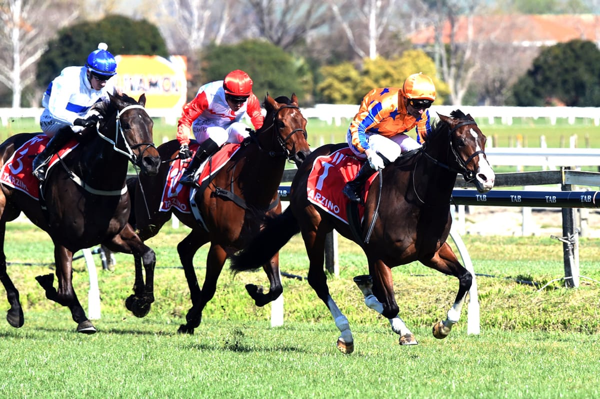 Tokyo Tycoon out of Guineas
