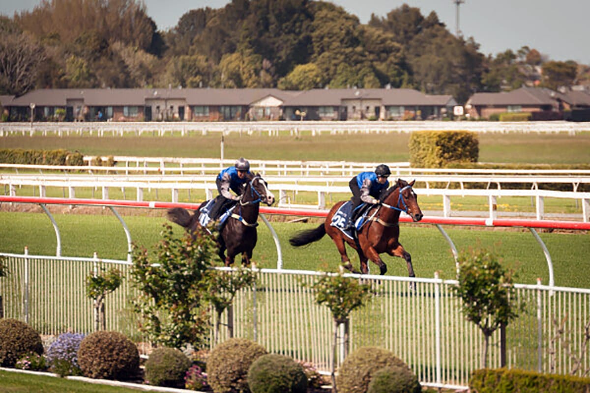 Perfect Conditions on Day One of Breeze Ups