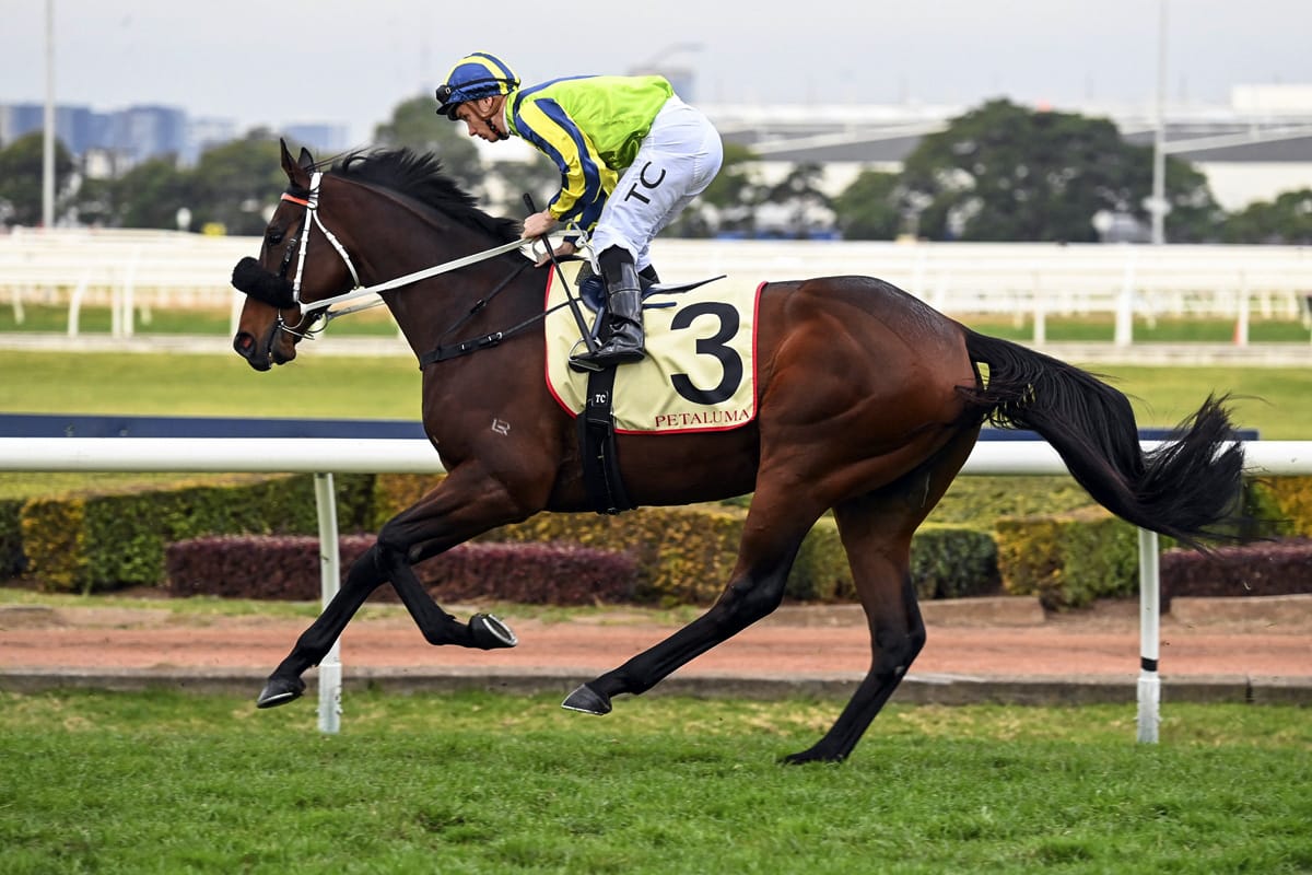 Kalapour faces last chance to gain Cup start