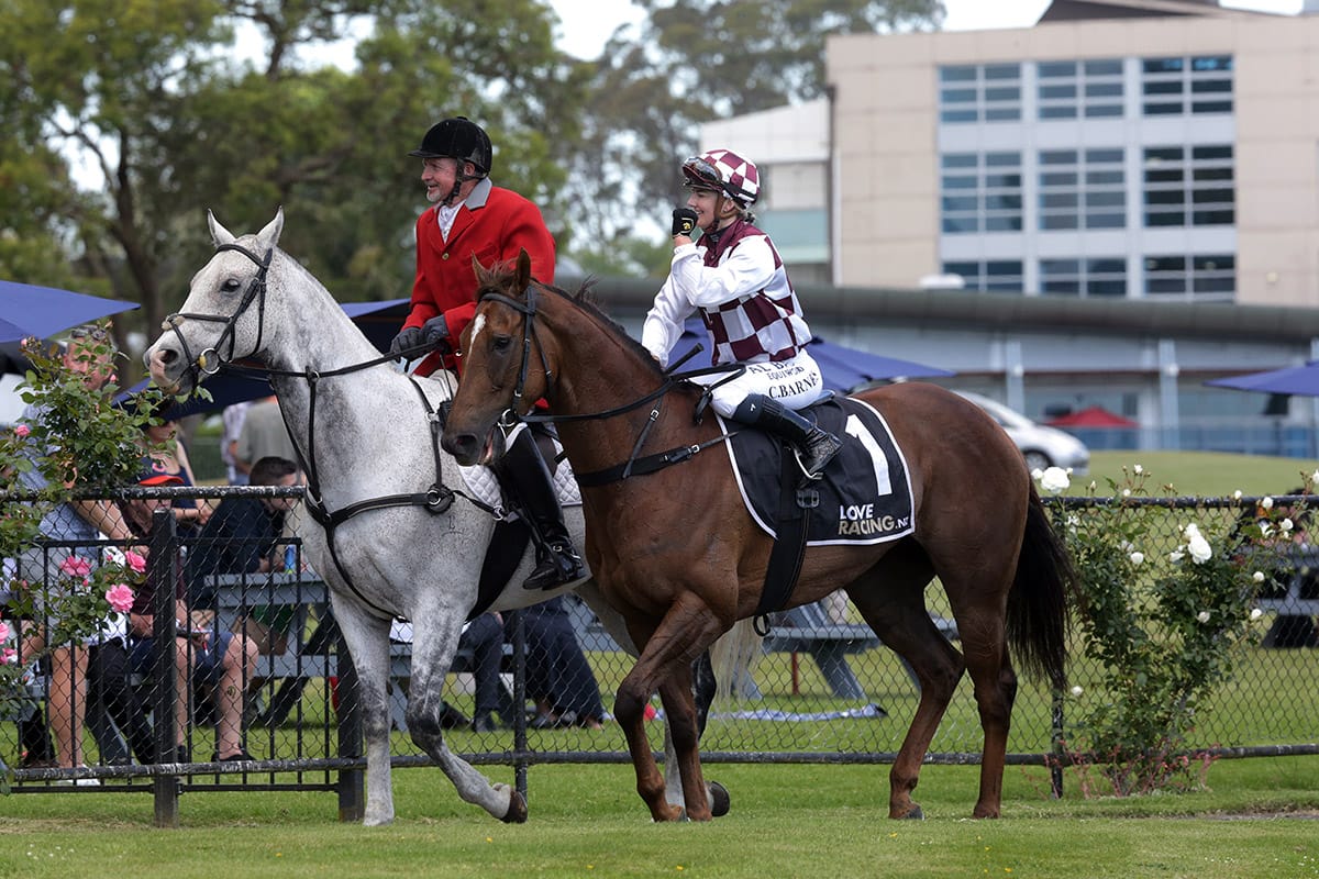 Babylon Berlin back in business