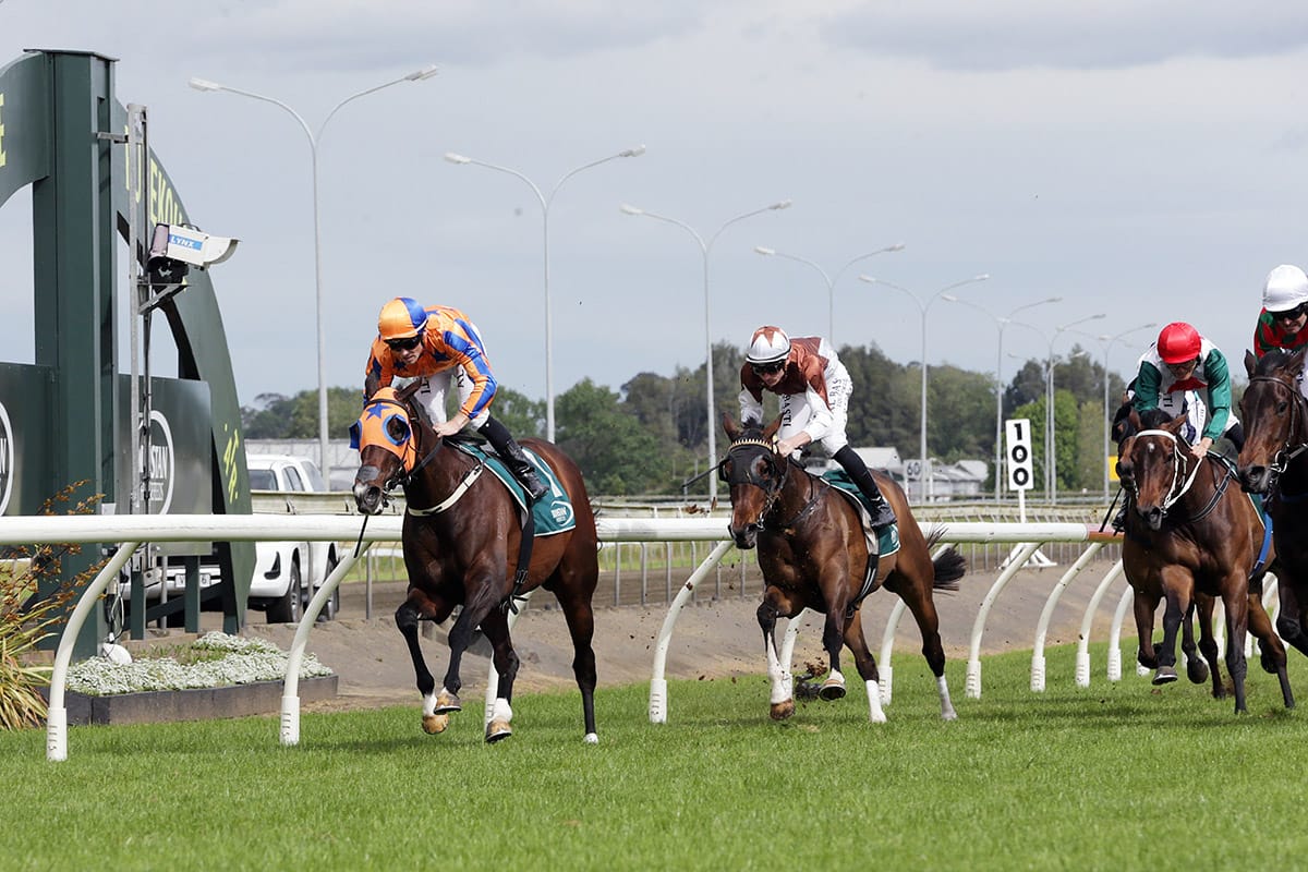 Campionessa and Cameron combine for comeback double