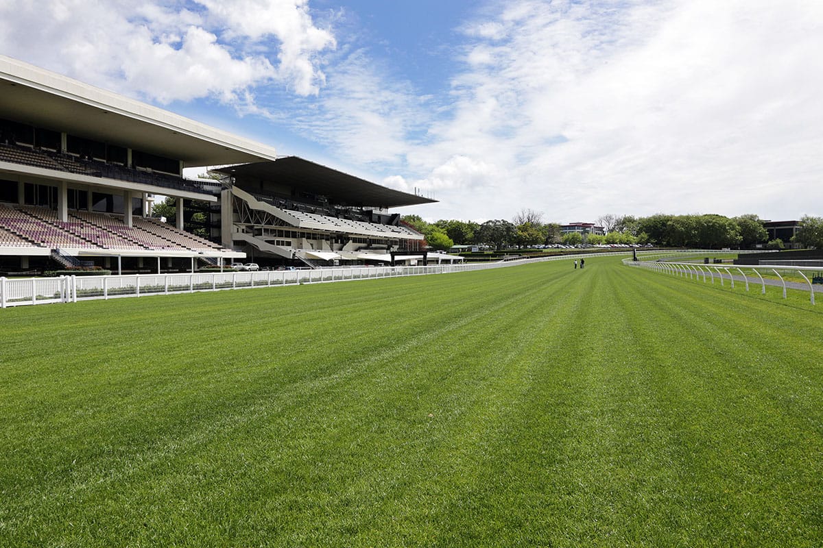 Phase two of Ellerslie’s return to racing plan completed successfully by Auckland Thoroughbred Racing
