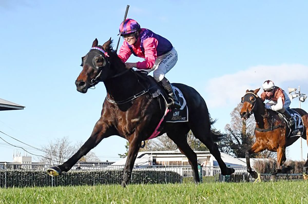 Bambry looking to make most of Flower Of Wanaka's racing days