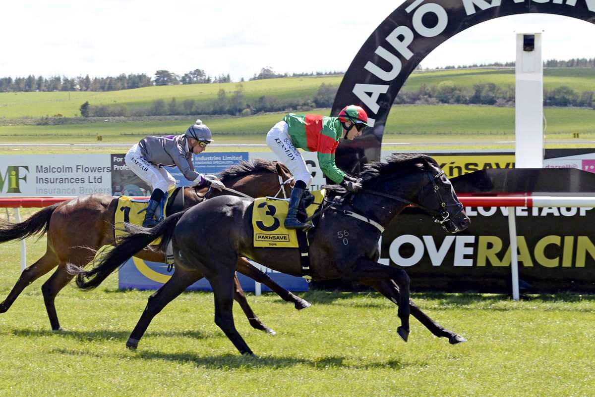 Wexford colt ready for Group Three test