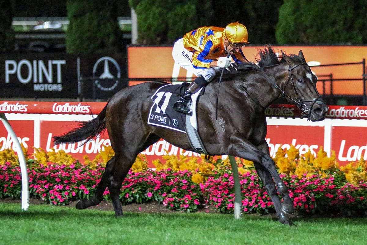 Imperatriz gallop gets green light