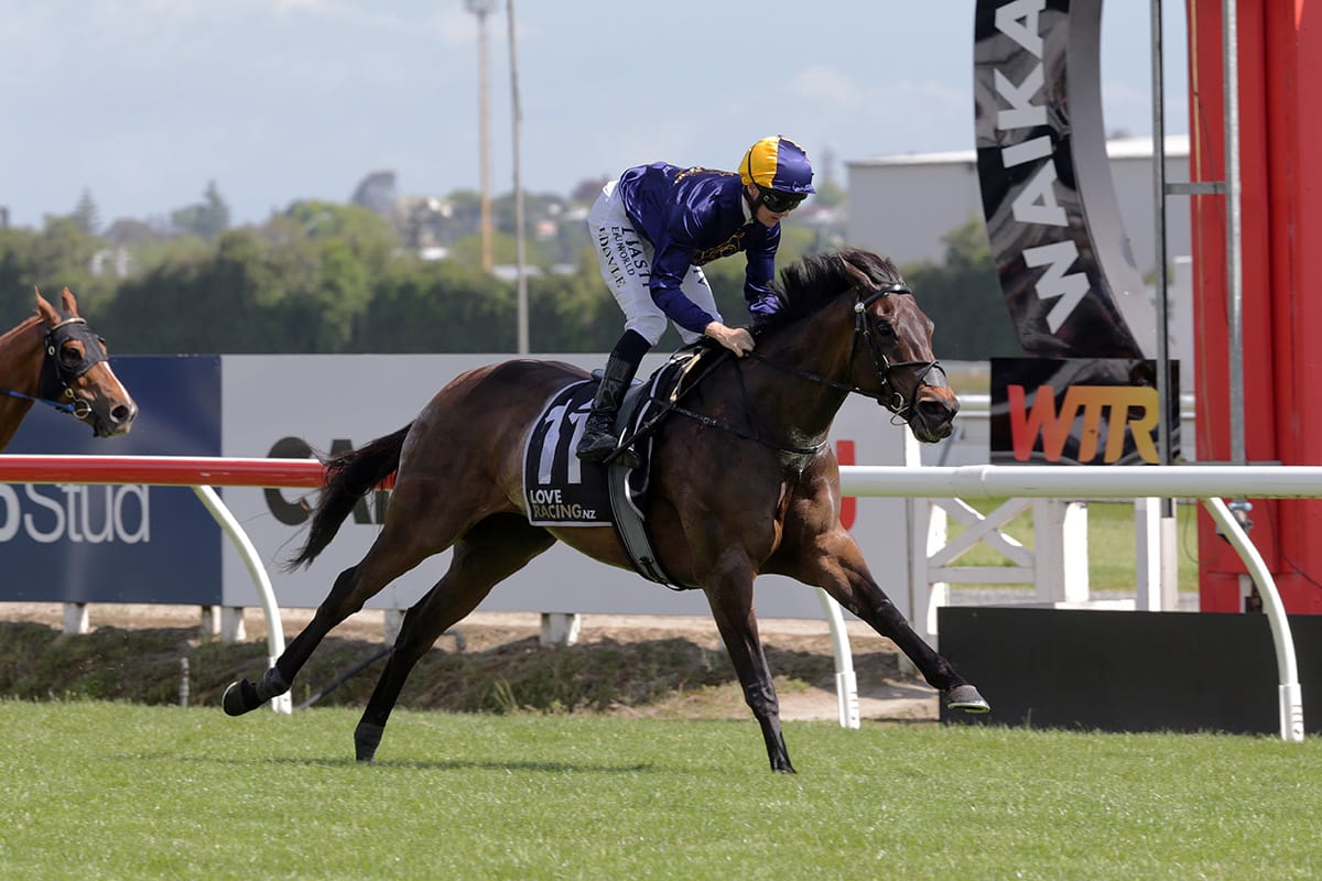 First stakes opportunity for Mynott