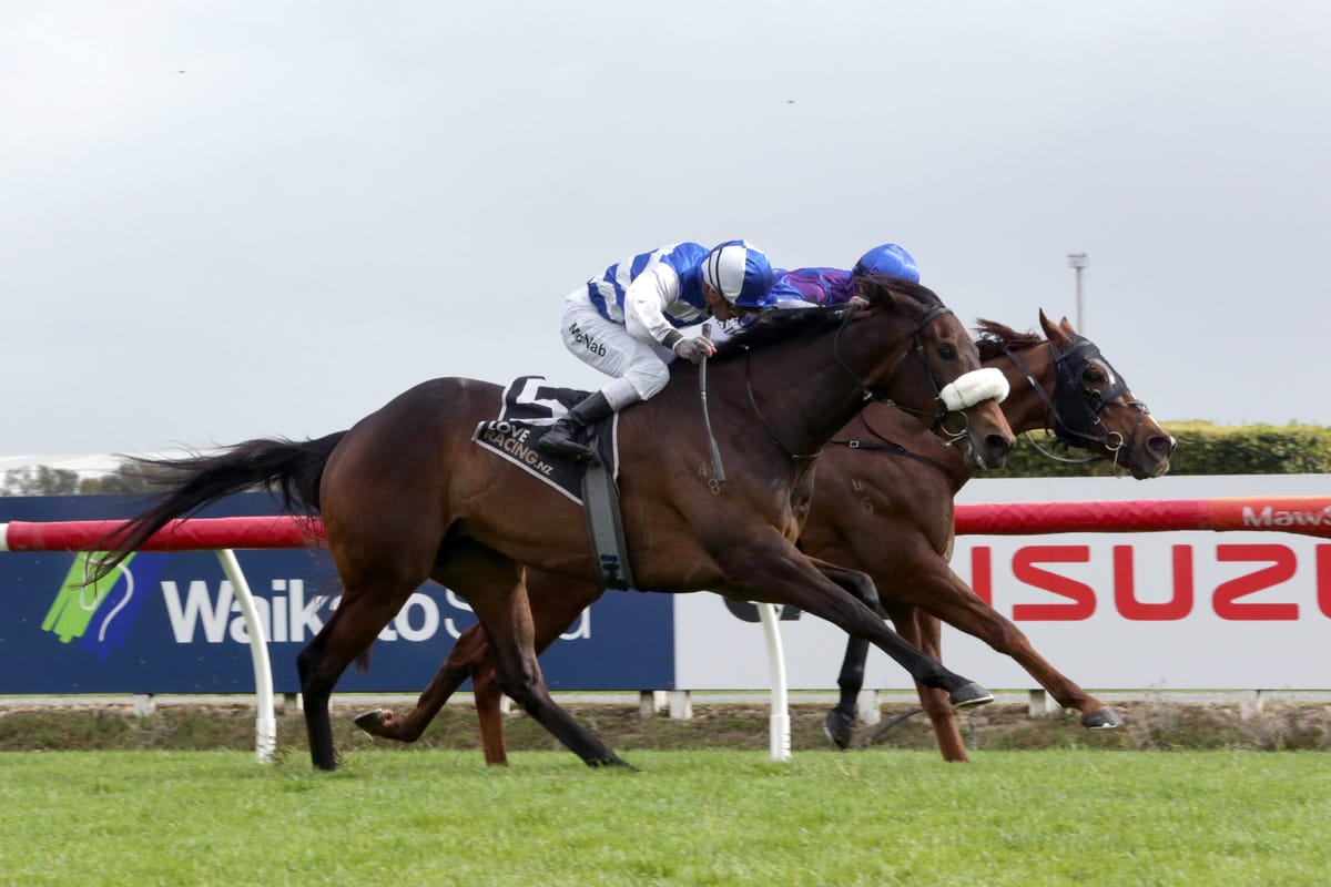 Pencarrow Stud preparing for Karaka 2024