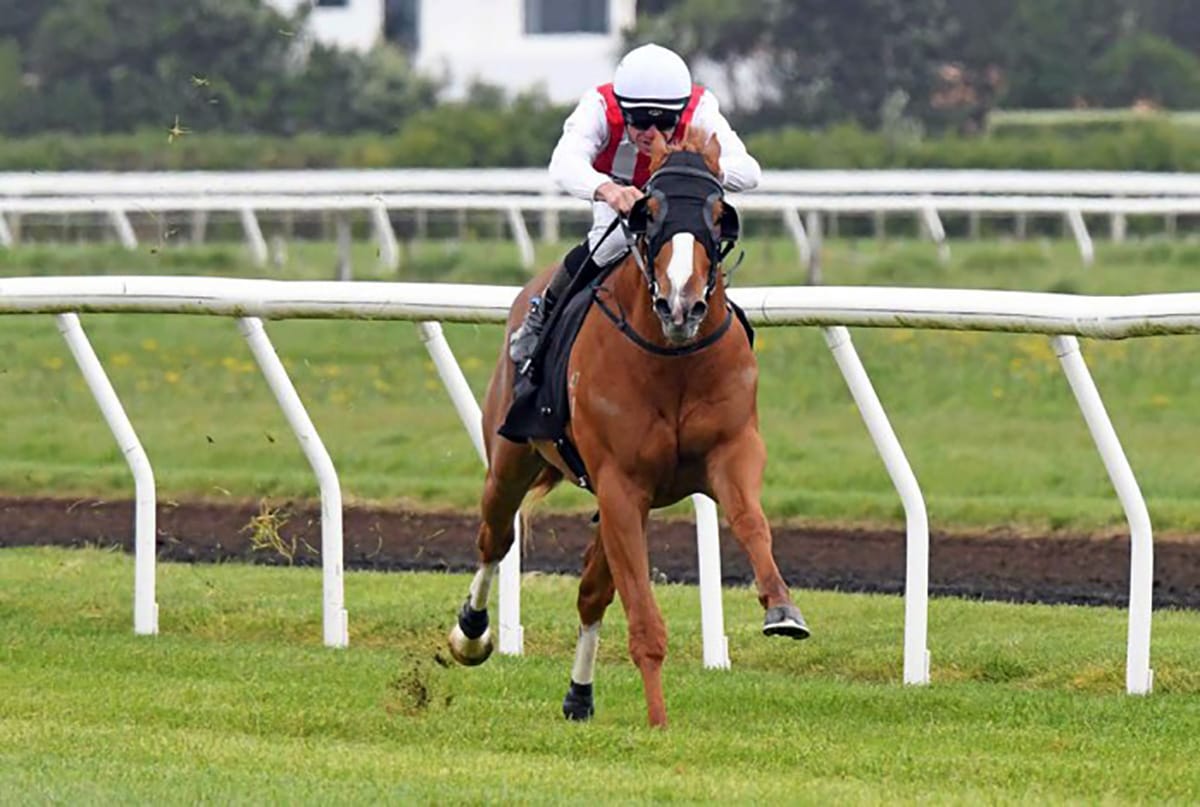 Poetic Champion primed for star-studded clash