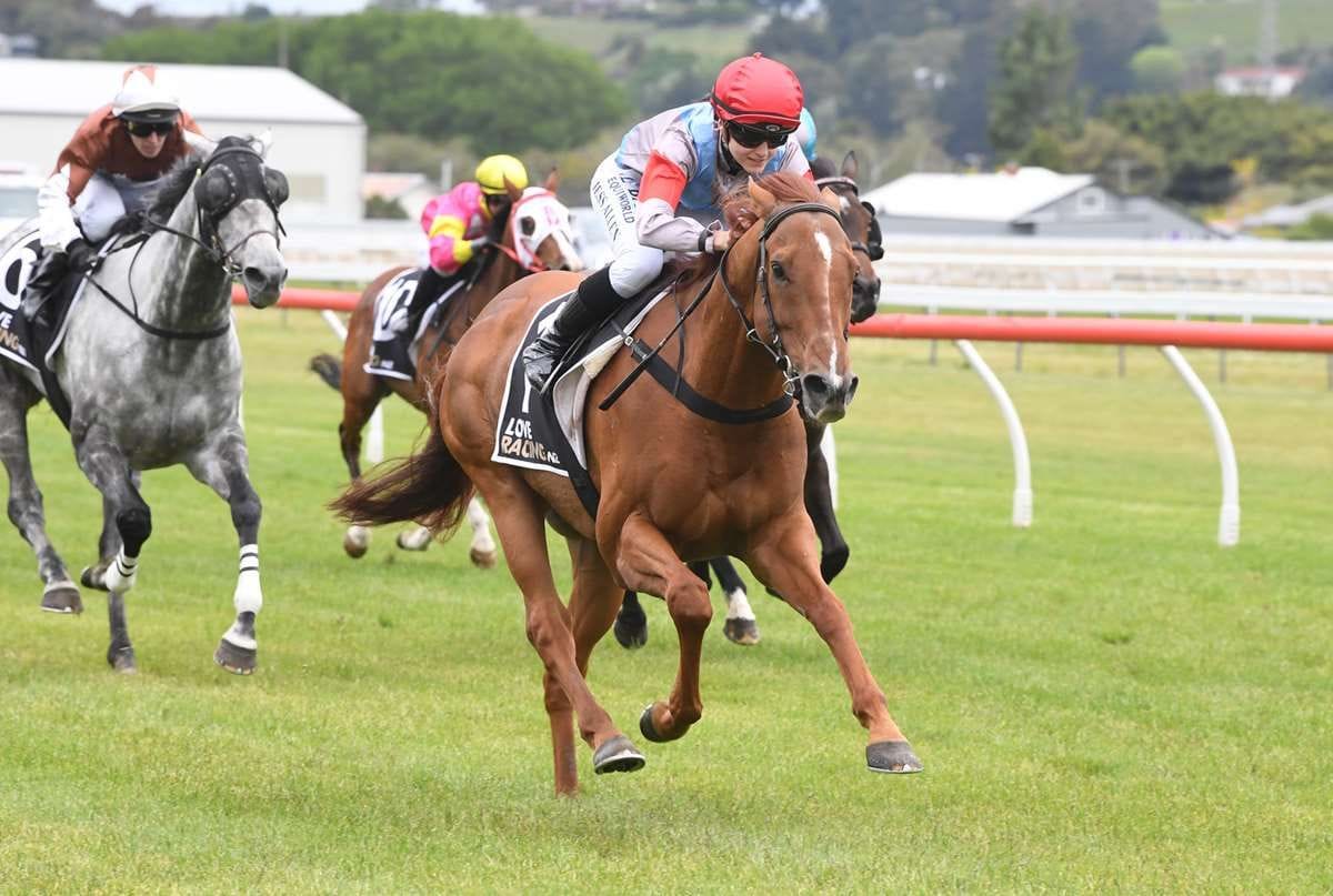 Semper Magico wins Bulls Country Cup