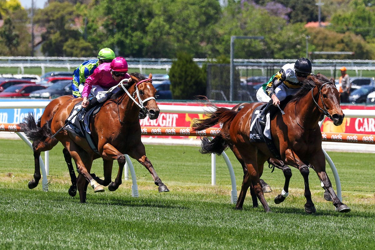 So Risque returns to winning form at Caulfield