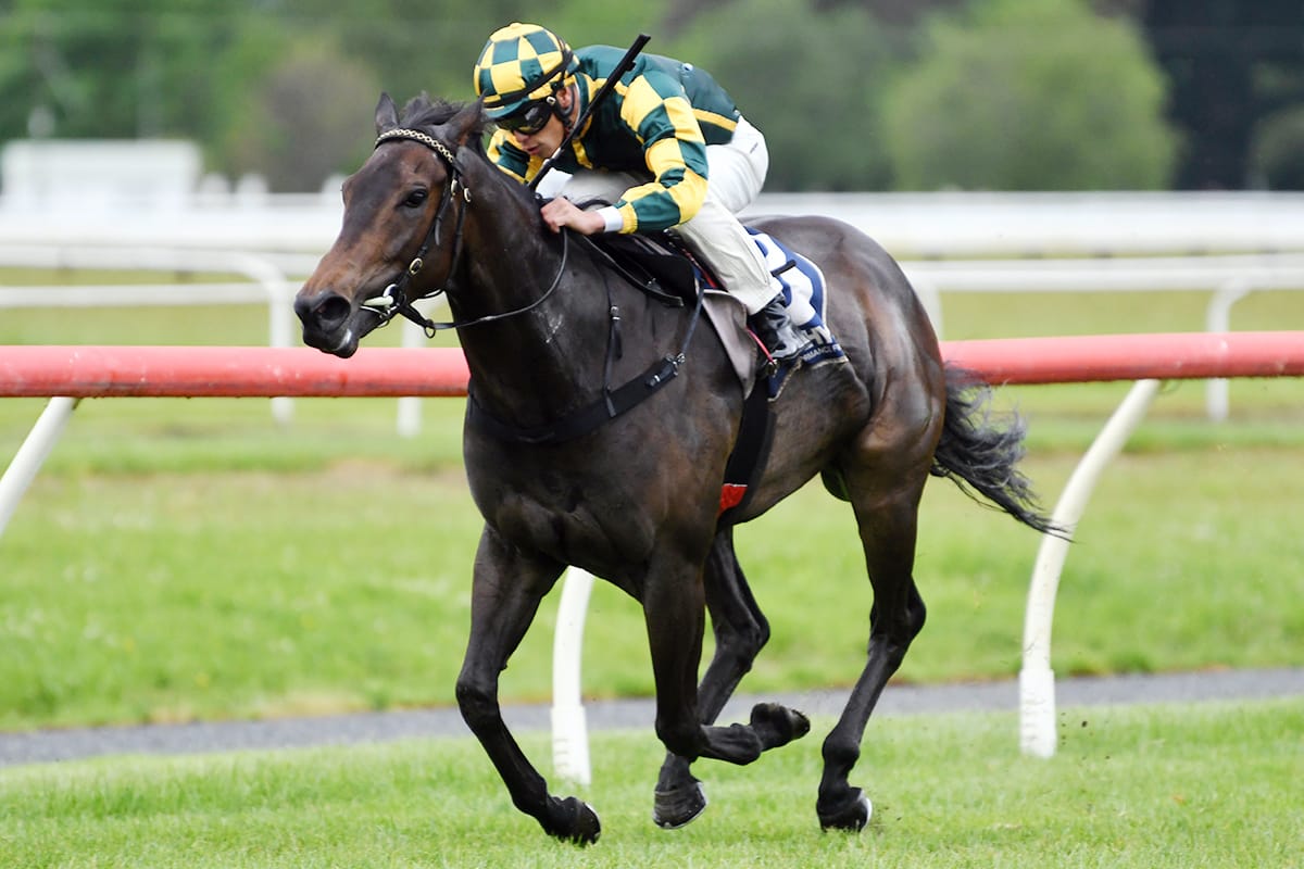 Tonia’s Dragon clears maiden ranks