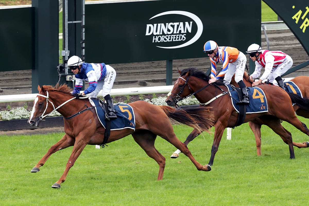 Velocious dominant in Challenge Stakes