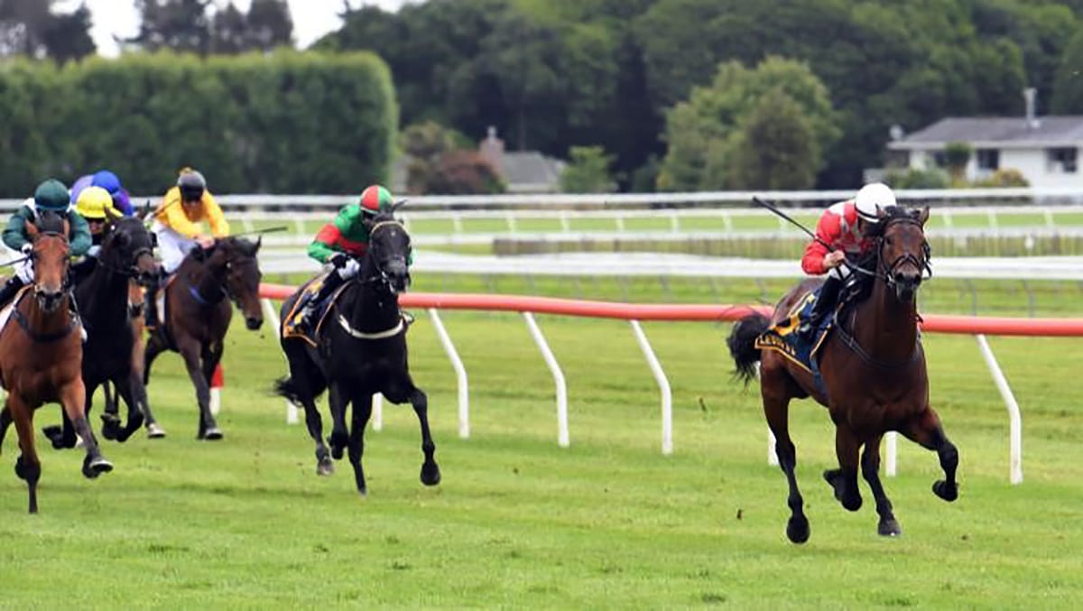 Zabmanzor delivers on early promise