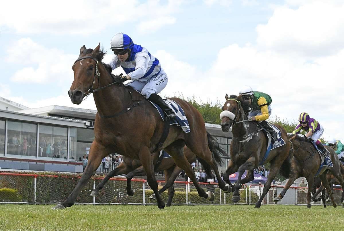 Greene has good trip away to Wanganui