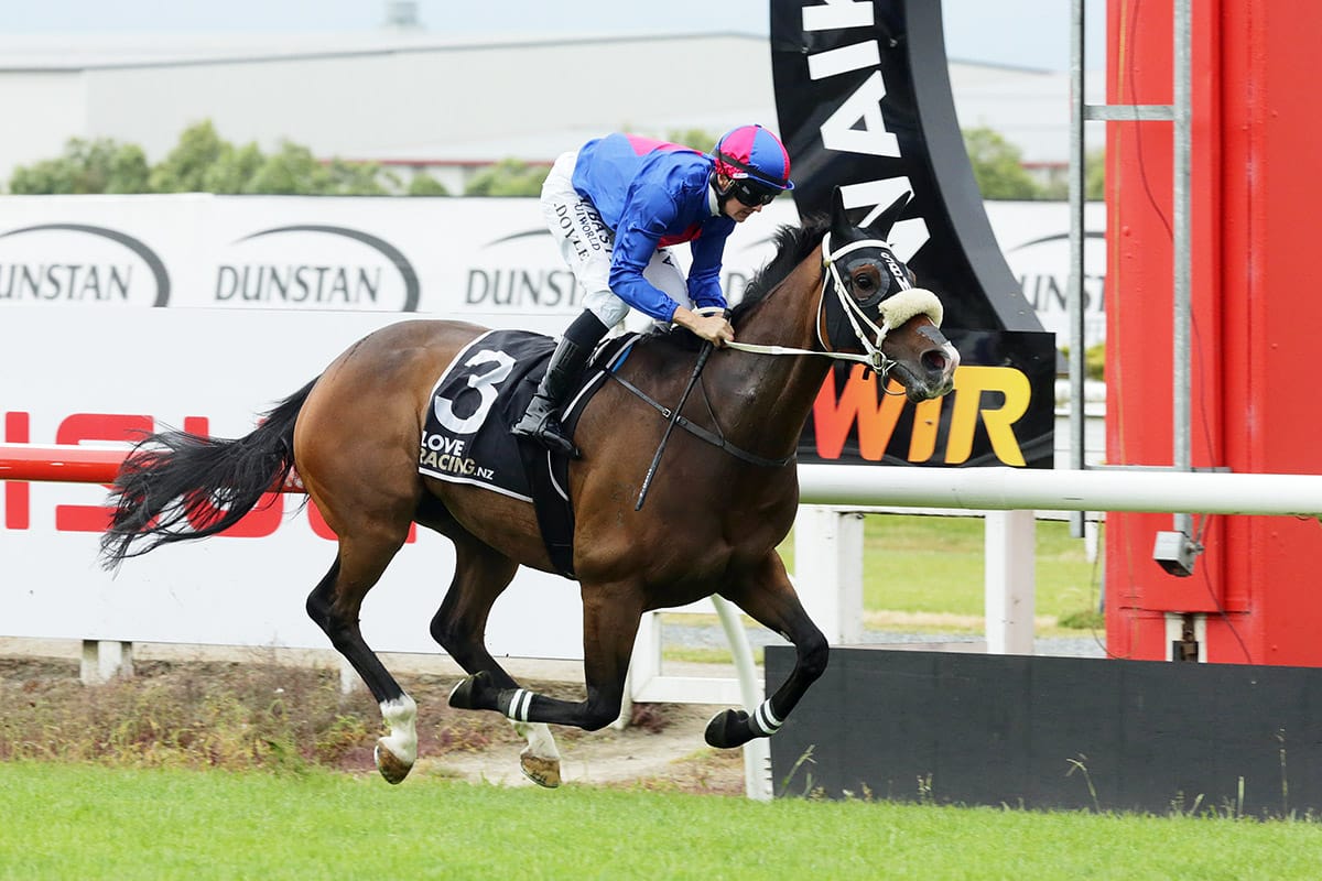 El Vencedor caps off good stakes form with a much-deserved victory