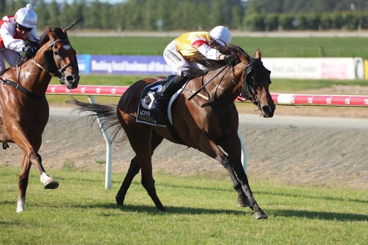 Emanon wins Kurow Cup