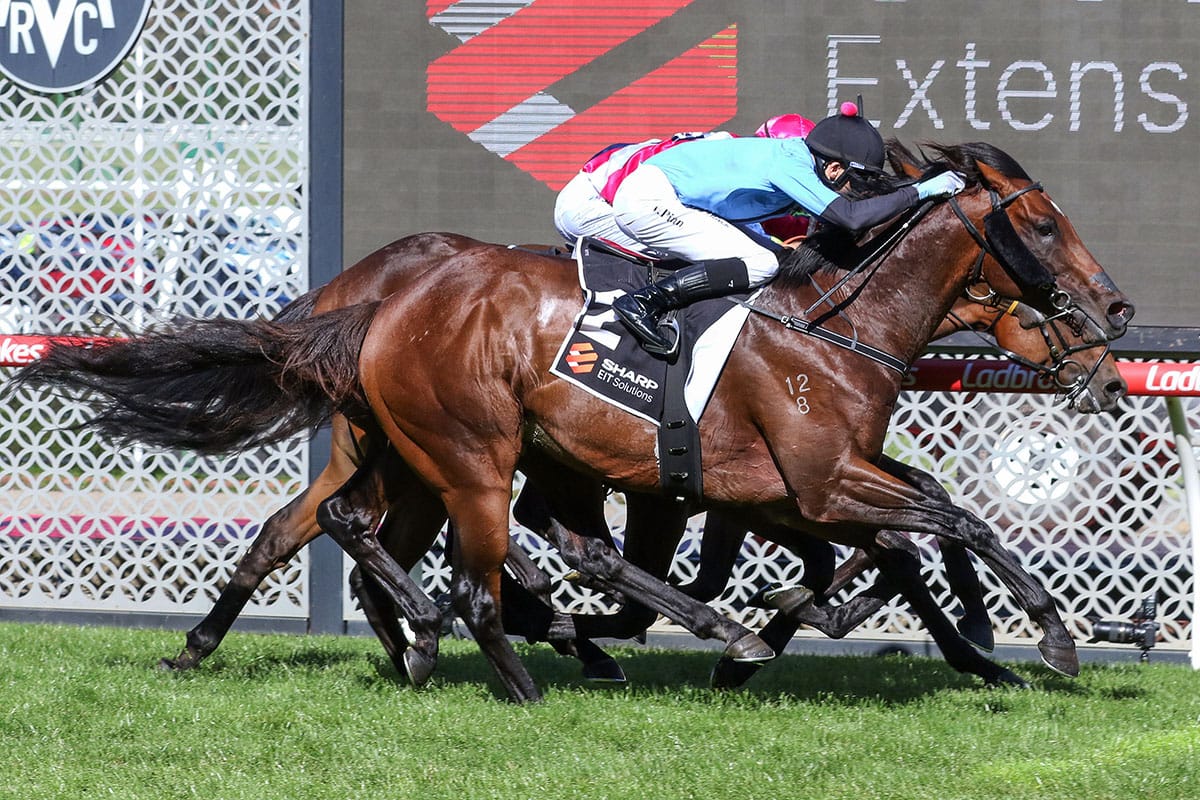 Winning feeling for Pinn at The Valley