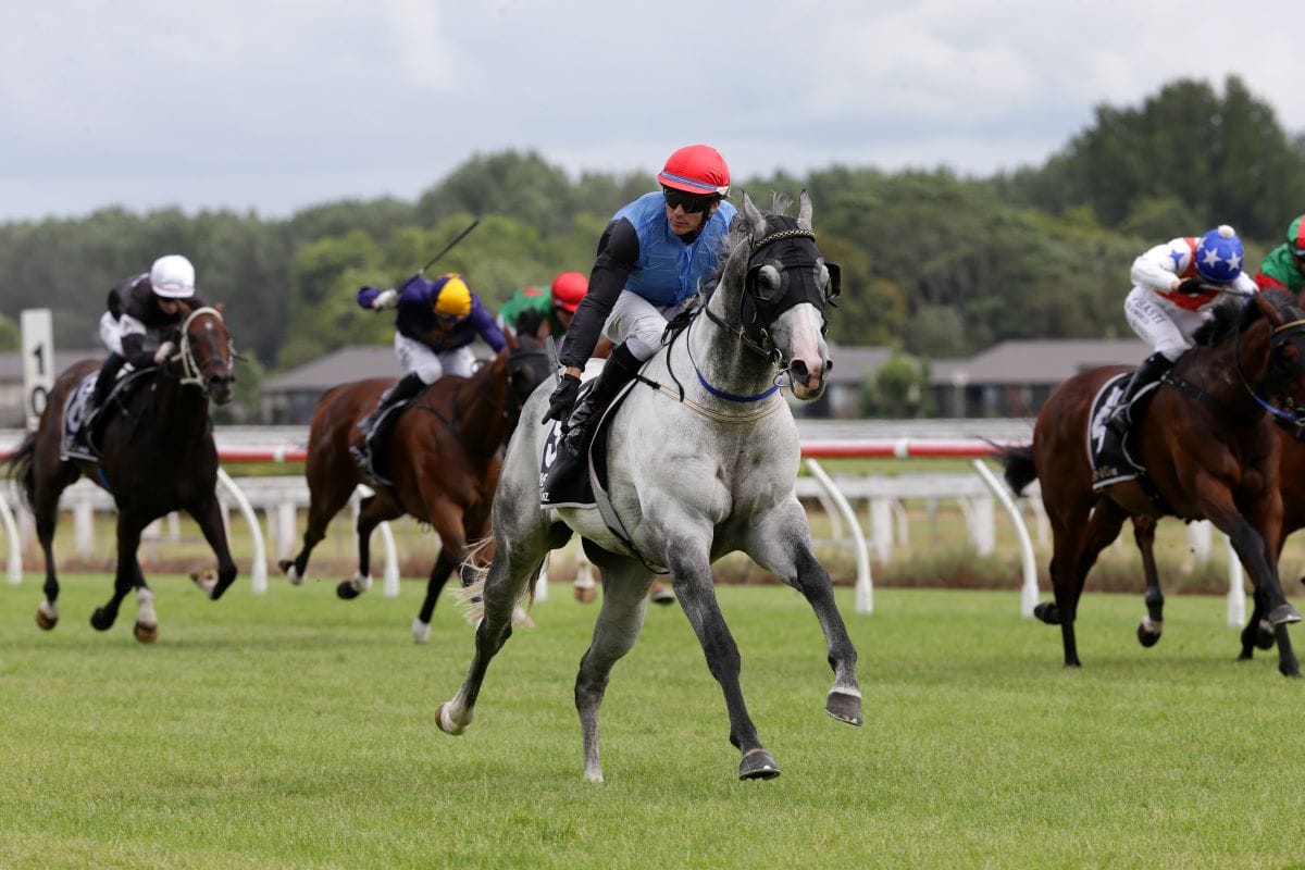 Stakes target for Lingjun Xiongfeng