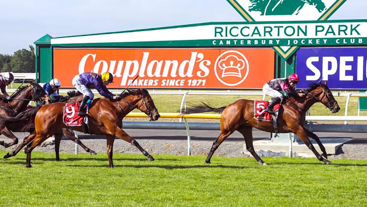 Patterson pair to clash in Thorndon