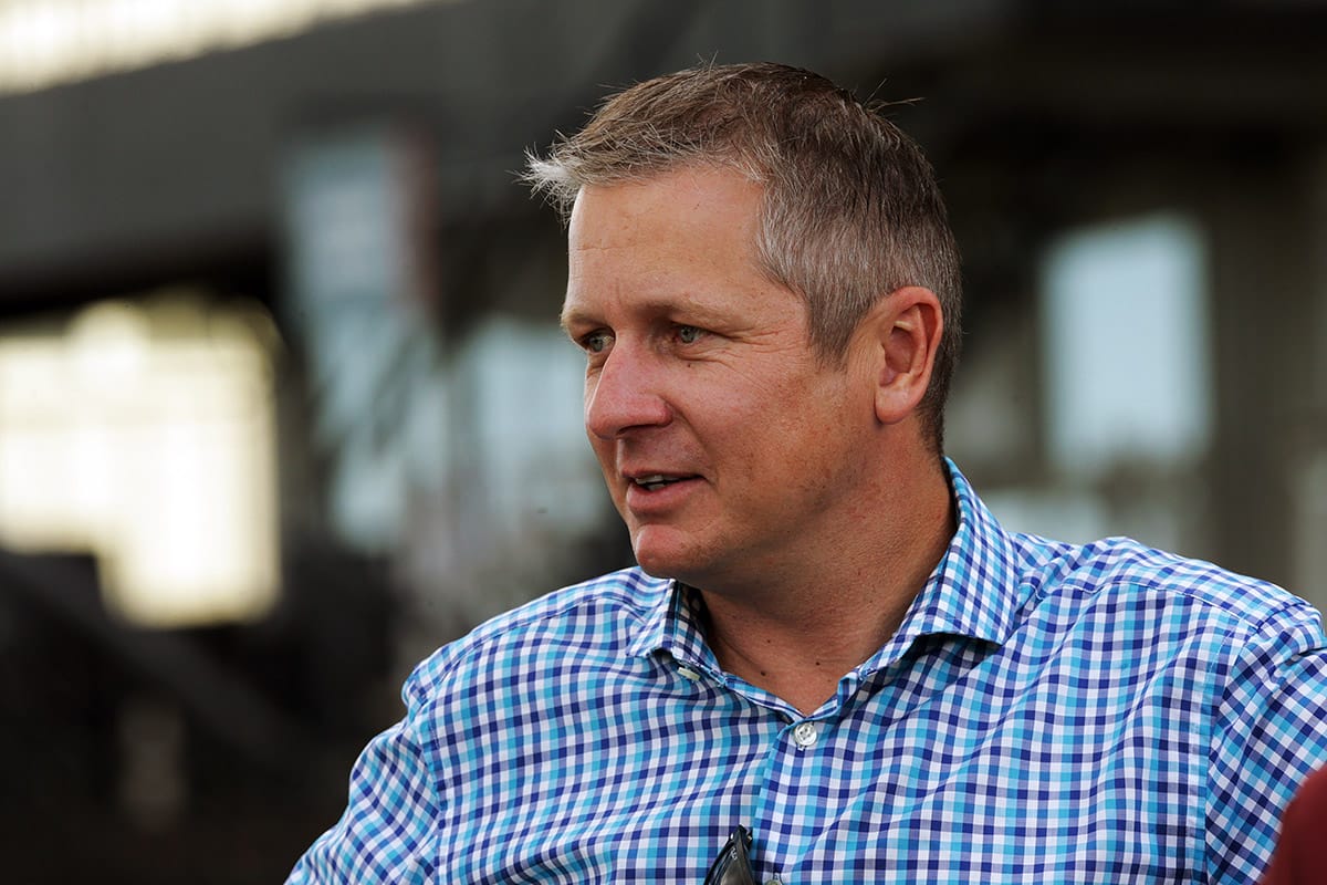 Skyman after Kiwi spoils