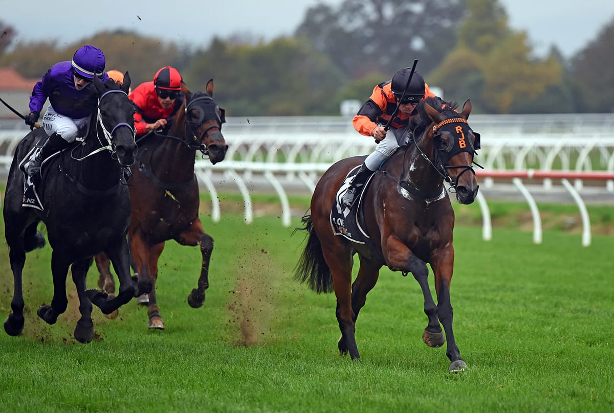 Town Cryer out for upset win
