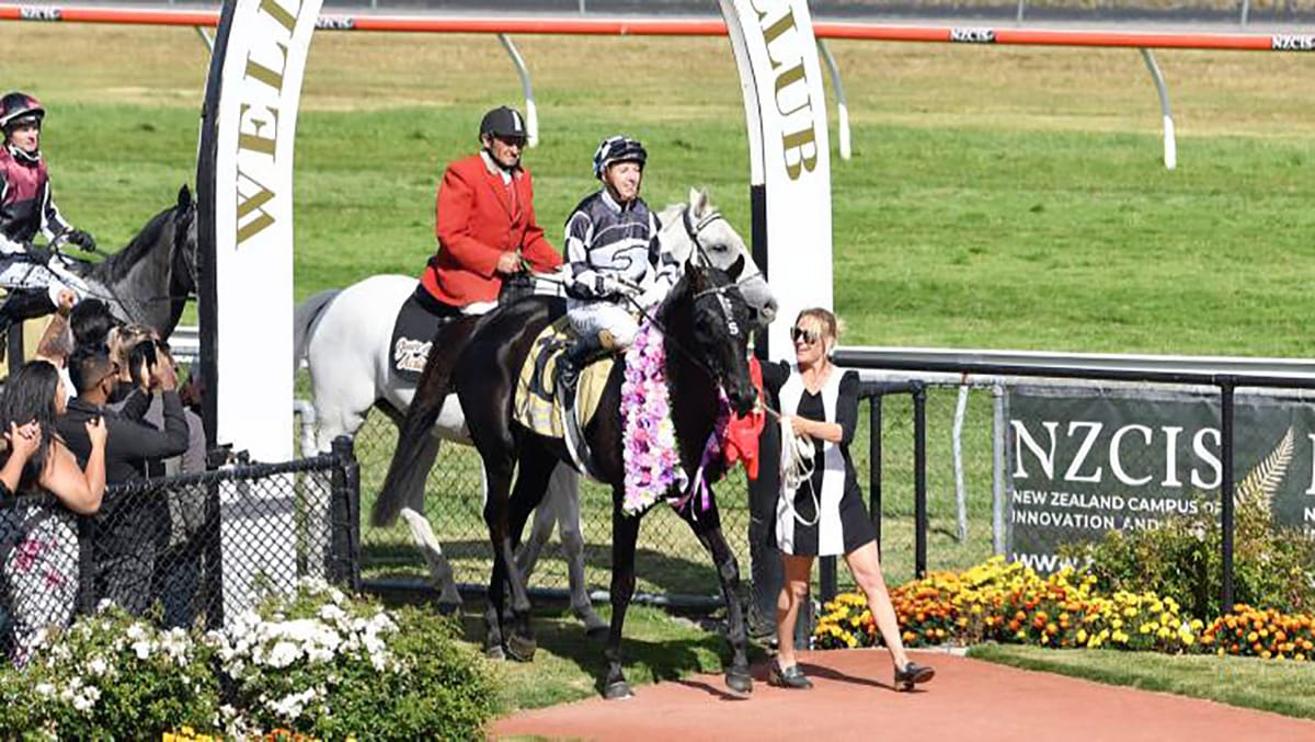 Waisake getting ready for favourite carnival