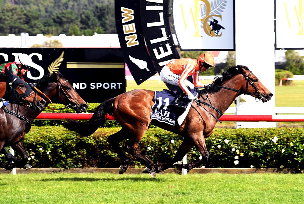 Williams pair ready to take on hotshots