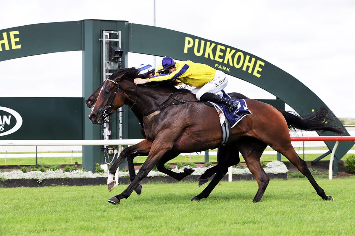 Wexford Karaka Millions 3YO quartet headed by Molly Bloom