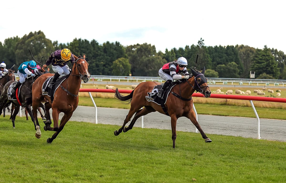 Aberlour tough in Gore Guineas