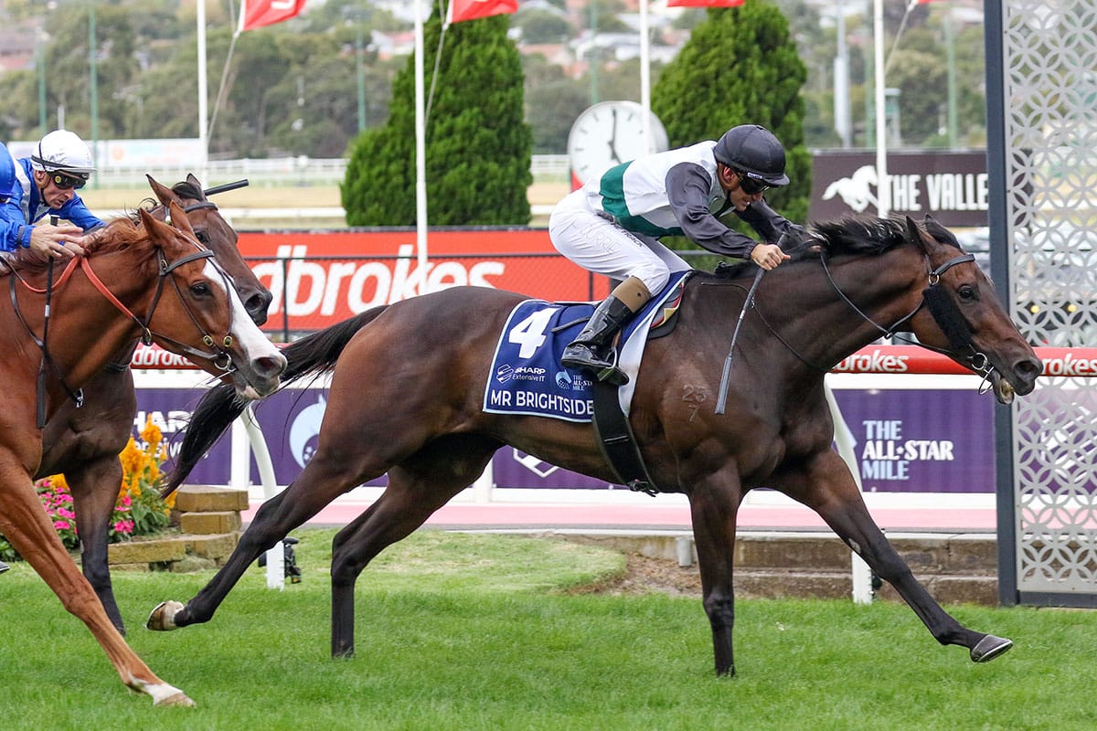 Mr Brightside scores ASM wild card
