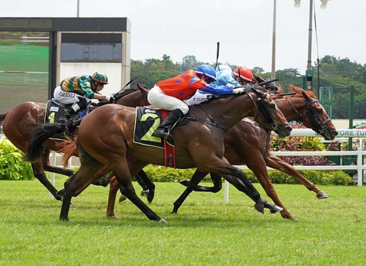 October wins photo at Kranji