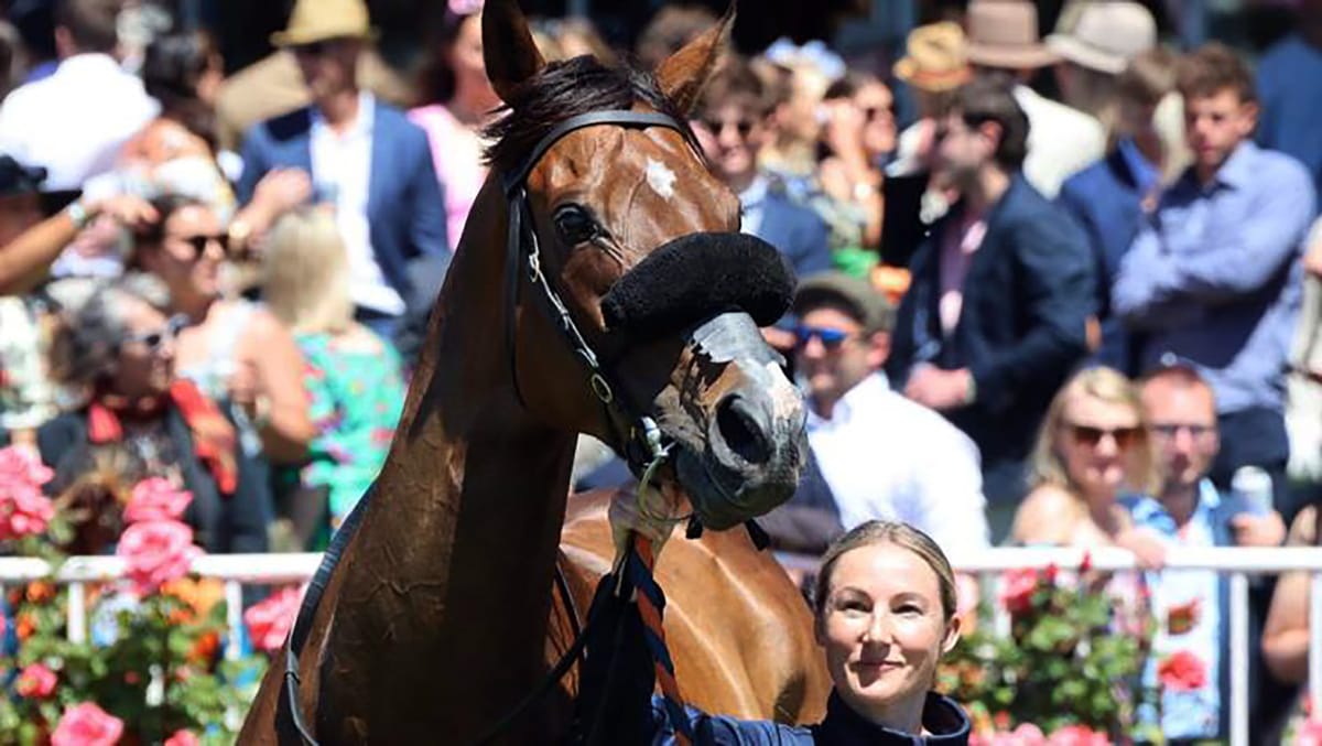 Perfect Scenario set to defend Southern crown