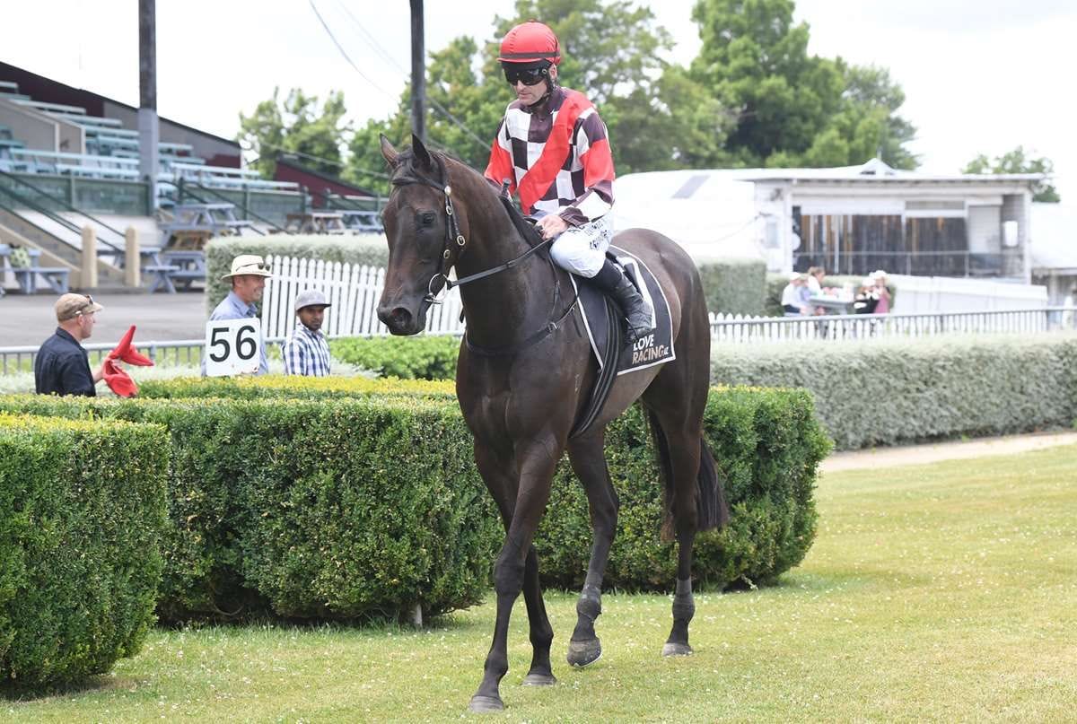 Testwin has Derby Aspirations