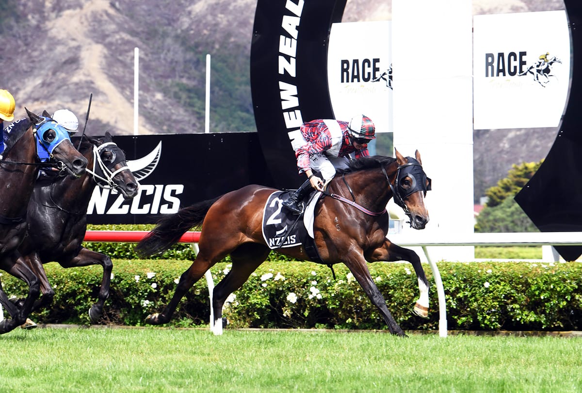 Stable favourite delivers timely win