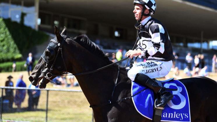 Waisake seeking second Wellington Cup