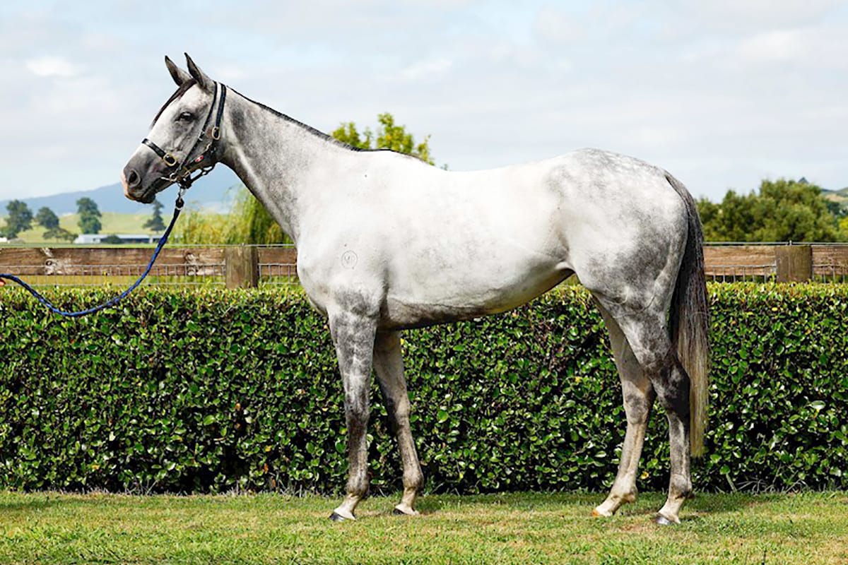 Rider reunites with Aromatic