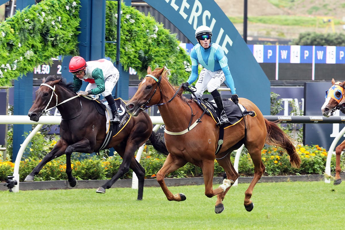 Kennedy chooses Crocetti in Group One