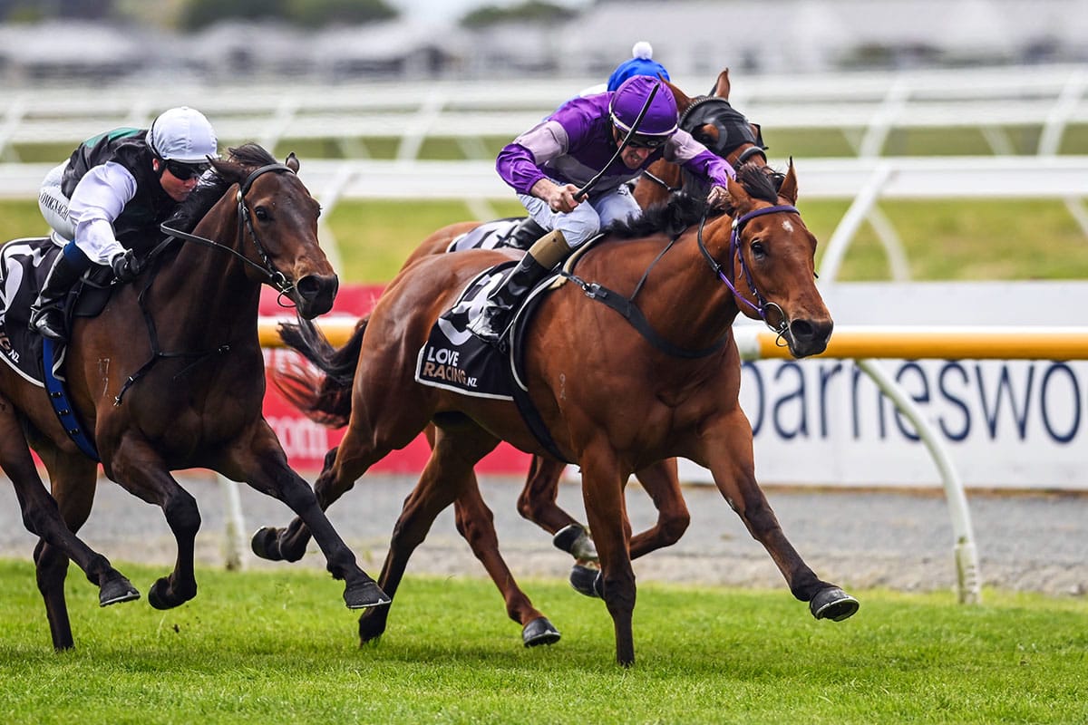 Eptimum back after long lay-off