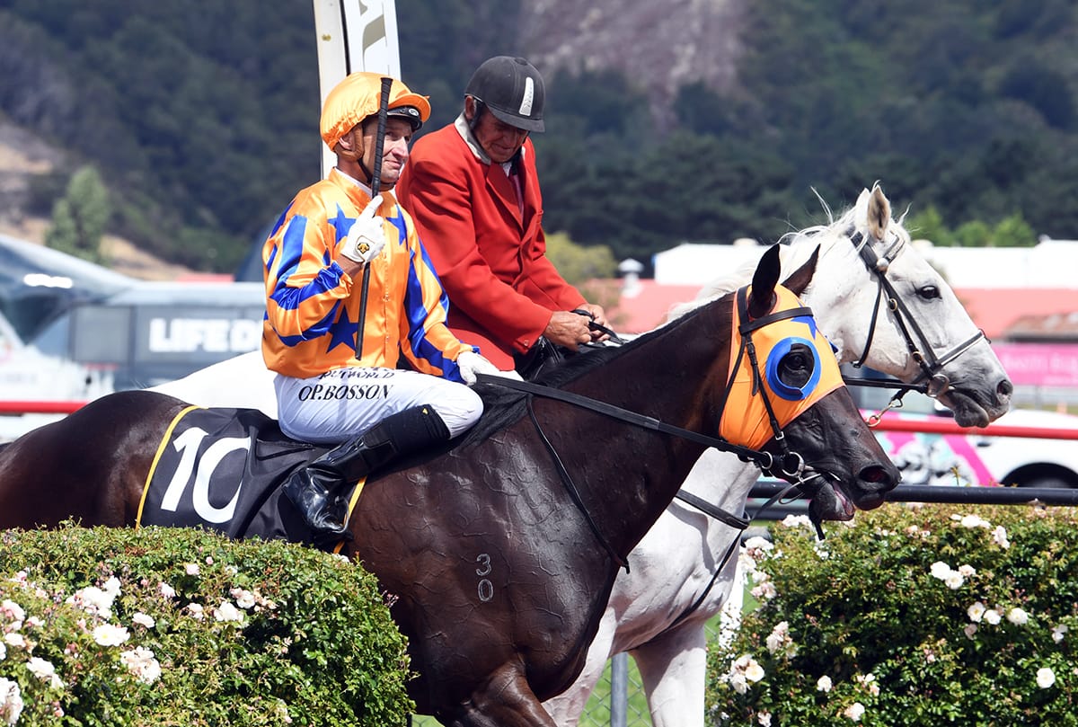 Strong Te Akau team to take on Legends Day